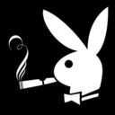 kolleksiyonist avatar