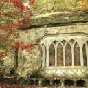 kolorkrazedolly avatar