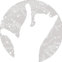 kolutshanpress avatar