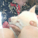 kombucha-keen-blog avatar