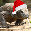 komodo-dragon-santa-blog1 avatar