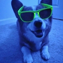 konacoffeecorgi avatar