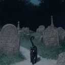 konigsbarrackbunny avatar