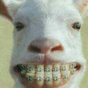 konkon0927konkon avatar