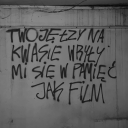 kons-ternacja avatar