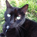 konstant-sinner avatar