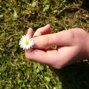 kontra-pro-duk-tiv avatar