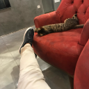 konumuzbudegilll avatar