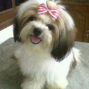 kookieandfish avatar