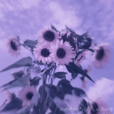 kore-is-my-queen avatar