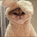 korilinoodlee avatar