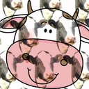 kosher-udders avatar