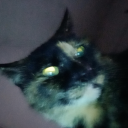 kosmonavtical avatar