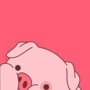 koszagondolatok77 avatar