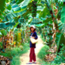 kotakota-blog avatar