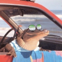 kovacs-on-ice avatar