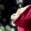 kovboygelini-blog avatar