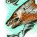 kowabunga-batt avatar