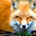 kozmicfox avatar