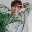 kpop-incorrect avatar