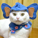 kr4k3n-blog-blog avatar