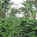 krafterz-blog avatar