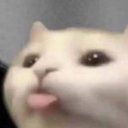 kraken-o-doyle avatar