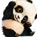 kralpanda avatar