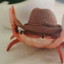 kranberryjuice avatar