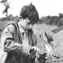 krappslasttape avatar