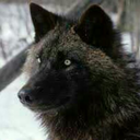 kreativjunkie avatar