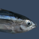 kreegabondola avatar