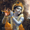 krishna-bhakti avatar