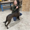 krispip-n-the-void avatar