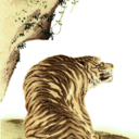 krispycollectorblaze-325fd248 avatar