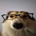 krispykrematory avatar