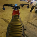 krispywombatgarden avatar