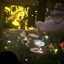 krissytheturtle avatar