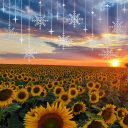 kristanna-days avatar