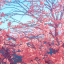 kristenapplebee avatar