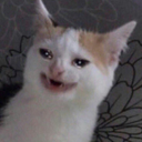 kristinaloconte avatar