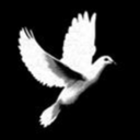 kristofvagyok avatar