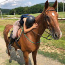 krisztipinter avatar