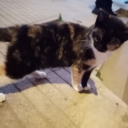 kriweraeverywhere avatar