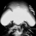 krol-lew-blog avatar