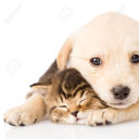 krsnakrsna333krsna avatar