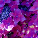 kryptonitecore avatar