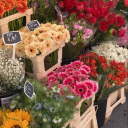 ksbsjasjkdidbdjshsjsj avatar