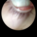 ksdskkdsksmsf avatar