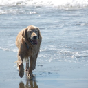 kserendipityme avatar